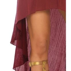 Leg Avenue Gauze Pirate Wench Peasant Dress Burgundy Red