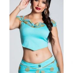 Dreamgirl Costumes Arabian Princess Womens Princess Jasmine Costume